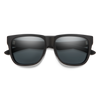 Smith Lowdown 2 Core Sunglasses